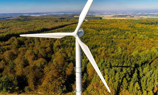 Climate conscious living