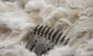The Beauty of ZQ Merino