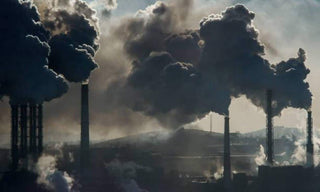Pollution in menswear